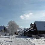 Stein