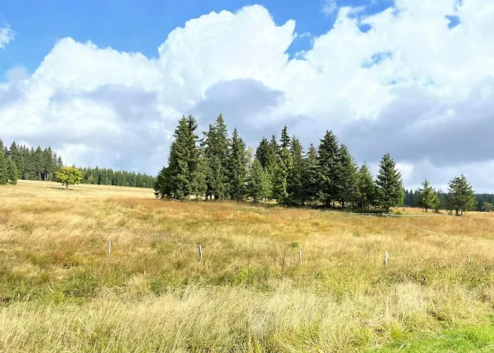 Stein Boží Dar
